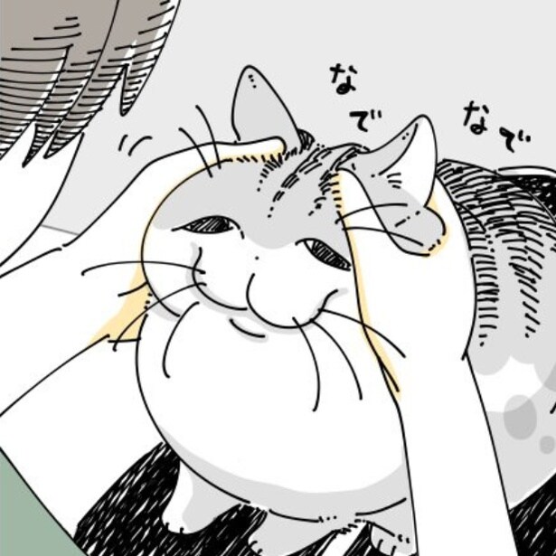 【ネコ漫画】撫でられて気持ちよさそうな愛猫!?その姿がかわいすぎていたずらをする飼い主