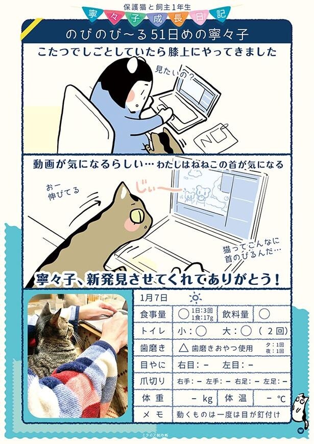 のびのび～る51日めの寧々子