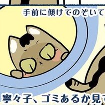 【保護猫のススメ】毎朝6時に「にゃーにゃー」と叫ぶ愛猫に起こされる生活…迷惑？とんでもない！尊すぎてむしろ幸せに【作者に聞く】