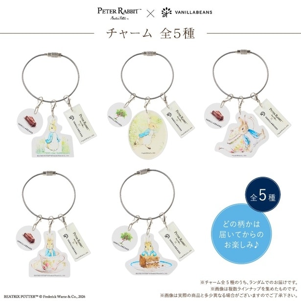オリジナル限定3連チャームは全5種類。どれが届くかは開けてからのお楽しみ