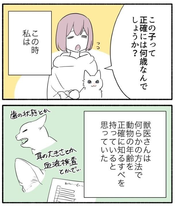 動物を飼う前までは同じように思っていた人も多いだろう