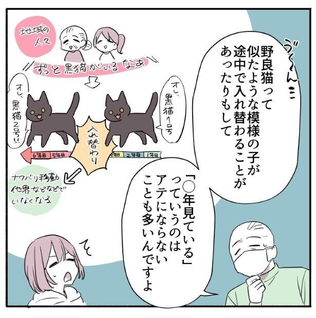 確かに言われてみれば野良猫の年齢を推定するのは難しい!!