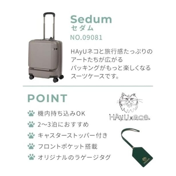 walkerplus_2 (34)