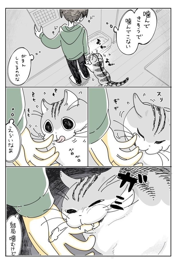03