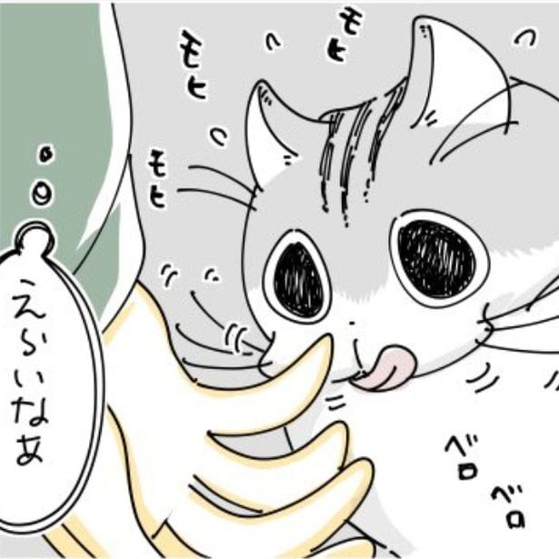 飼い主の手を舐める猫