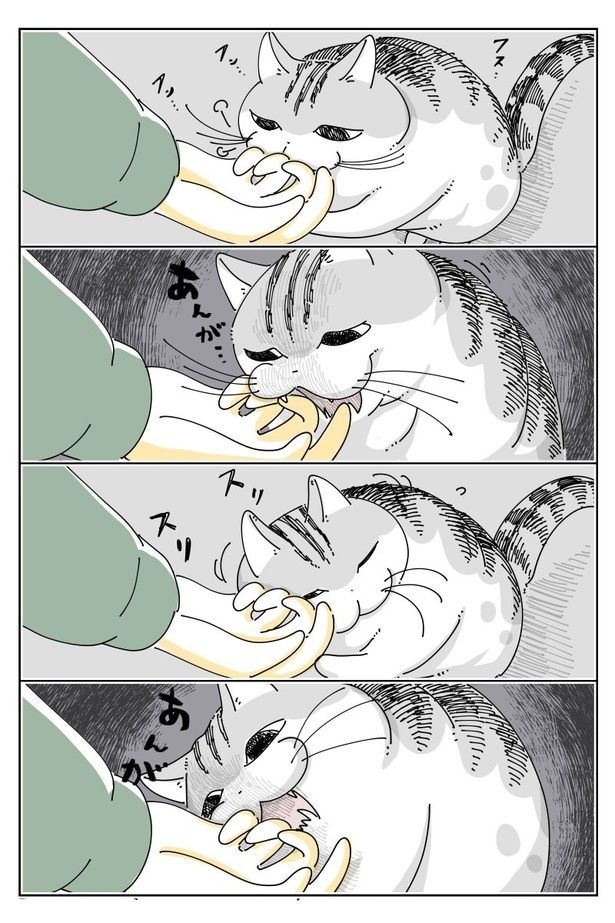 02