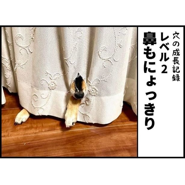 何、その鼻…!?かわいすぎる！