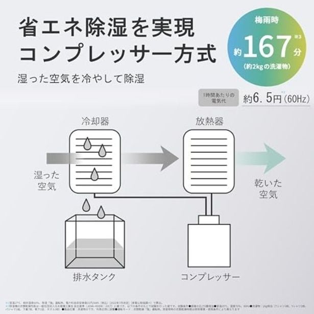 walkerplus_4 (15)