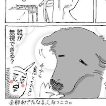 【海外旅行記】「誰が無視できるよ？」異国の地で出会ったかわいらしい“常習犯”に読者から「こんなのズルいわ」の声殺到!?【作者に聞く】
