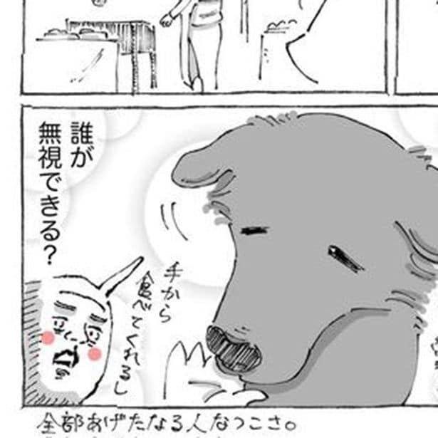 【海外旅行記】「誰が無視できるよ?」異国の地で出会ったかわいらしい“常習犯”に読者から「こんなのズルいわ」の声殺到!?【作者に聞く】