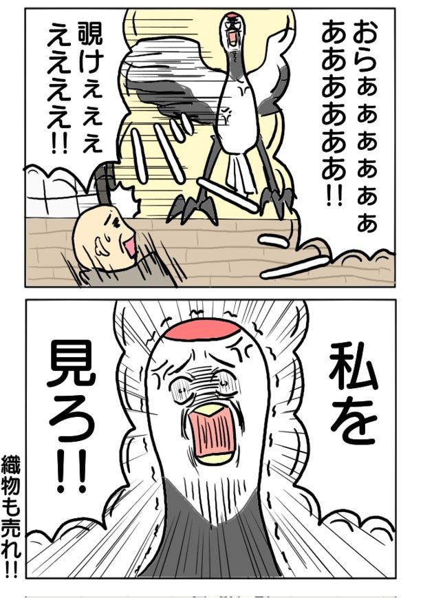 160本目「鶴の恩返し」2