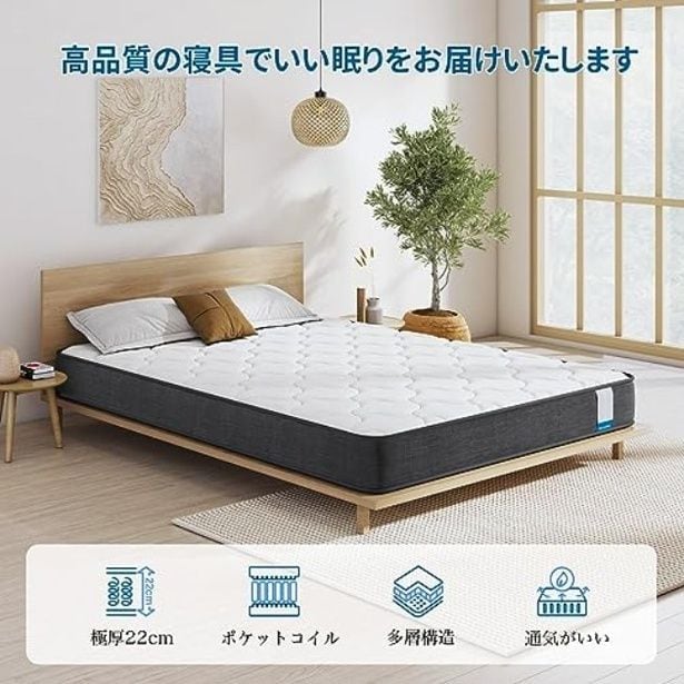 walkerplus_2 (35)