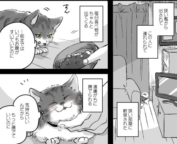 警戒しながらも「軟禁生活」は思いの外、楽しかった