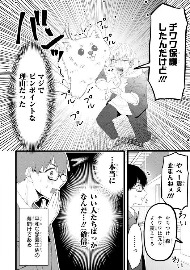 本当にチワワを助けていたとは…！なんかゴメン…