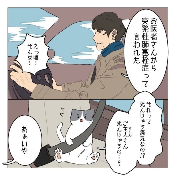 難病にかかったことを妻に話す夫だが…!?『100日後に死ぬ難病の夫と100日後にひとりぼっちになる猫』1-1