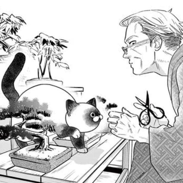 大切な盆栽を猫に落とされた!?