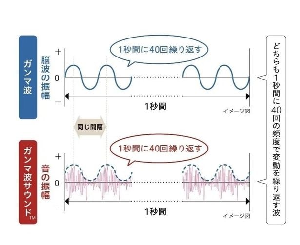 「ガンマ波サウンド」の仕組み