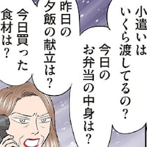 義母から毎日しつこく夕飯や弁当の内容を聞かれていた嫁が編み出した、時短でおいしいメニューとは？【作者インタビュー】