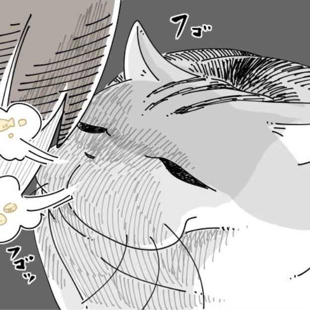 飼い主の顔に鼻息をかける猫