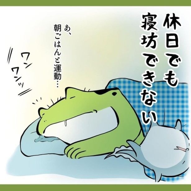「もーーーすべてわかるぅーーー」共感コメント殺到！”ペットあるある”は子育てを彷彿させる!?柴犬との幸せな暮らし【作者に聞く】