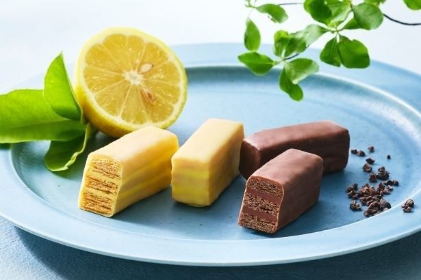 35度でも溶けにくいチョコ!?「メリーチョコレート」から夏の手土産にぴったりな商品が誕生
