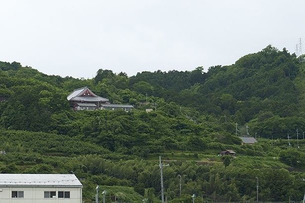 店の裏山に鎮座する学文路(かむろ)天満宮。学問の神様として崇敬を集める