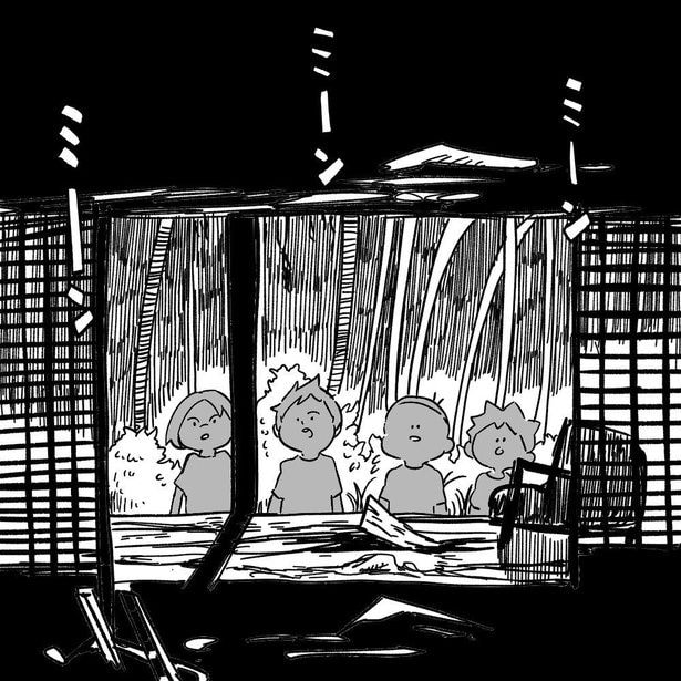 日本人形(6)