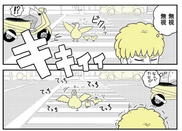 動物にモテるサラリーマンの受難(47)