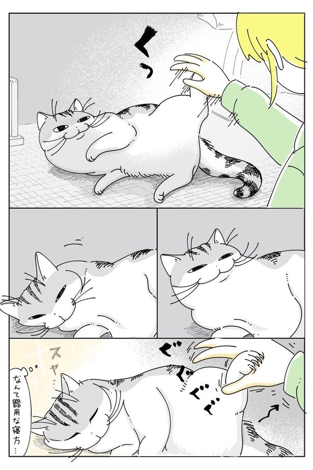 03