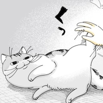【ネコ漫画】身体を触られて飼い主にキックする愛猫!?その行動に「よくやられますｗ」などの共感コメント多数