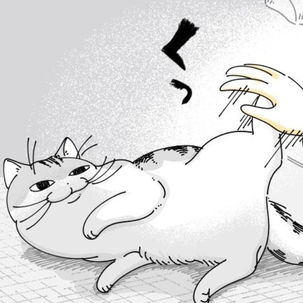 【ネコ漫画】身体を触られて飼い主にキックする愛猫!?その行動に「よくやられますｗ」などの共感コメント多数