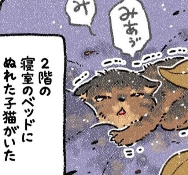飼い犬が子ねこを拾ってきた…!?
