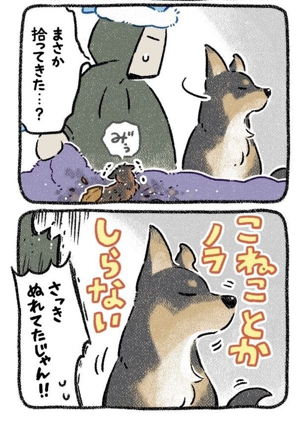 みぞれねこ②02