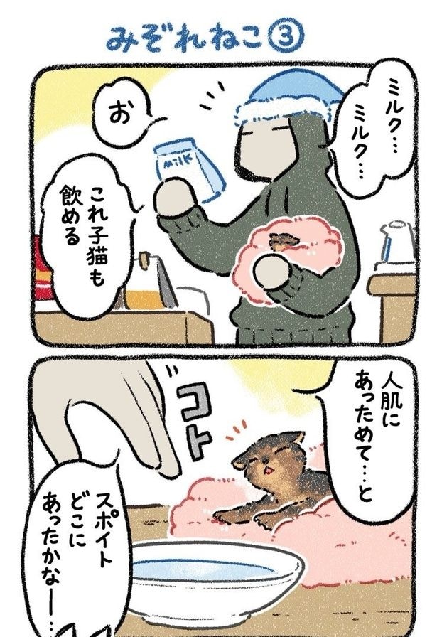 みぞれねこ③01