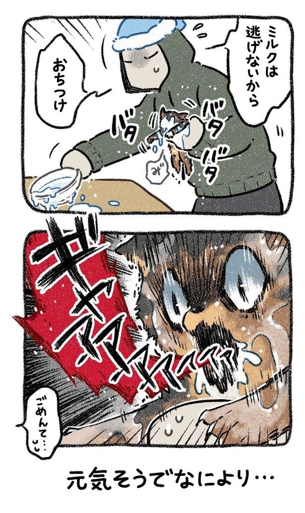 みぞれねこ③03