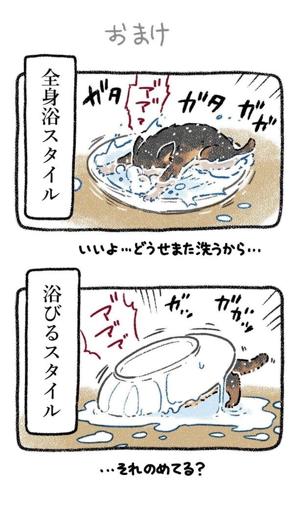 みぞれねこ③04　※続きはSNSで公開中