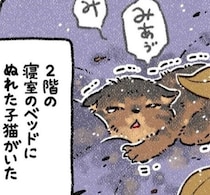 飼い犬がゴミを拾って来たのかと思ったら、生後3カ月の子猫だった！「みぅみぅ」鳴く小さな身体にミルクをあげたら、突然豹変!?【著者に聞く】