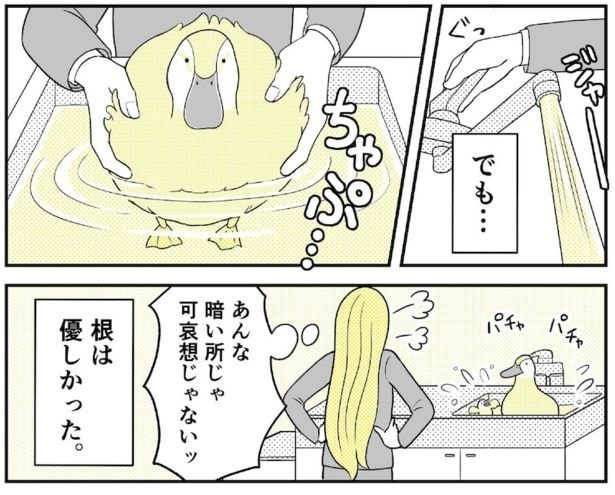 動物にモテるサラリーマンの受難(67)