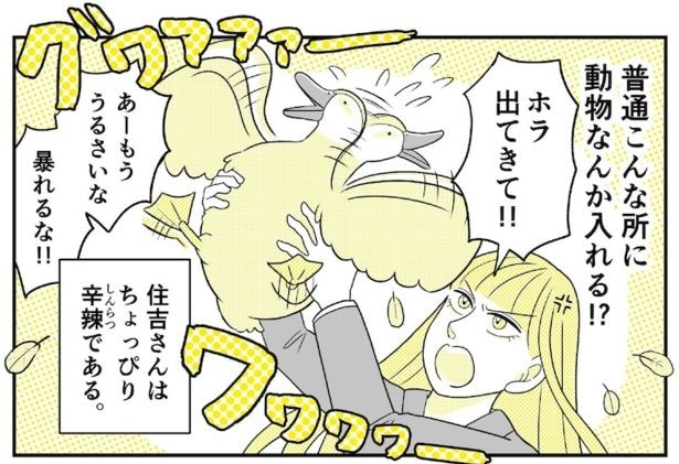 動物にモテるサラリーマンの受難(66)
