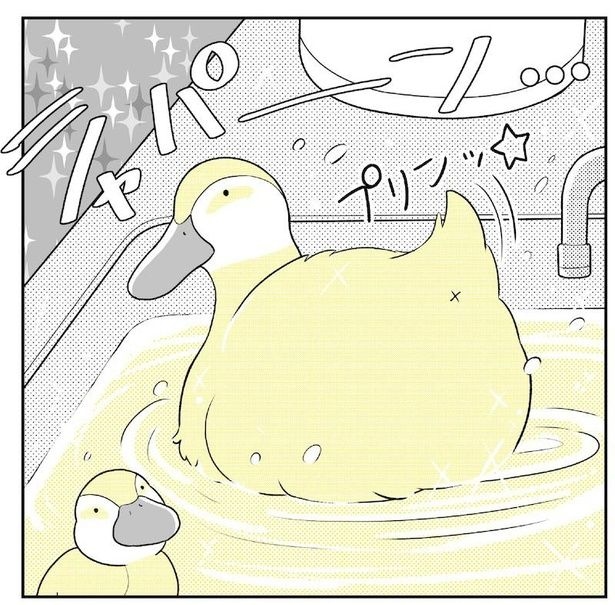  動物にモテるサラリーマンの受難(72)
