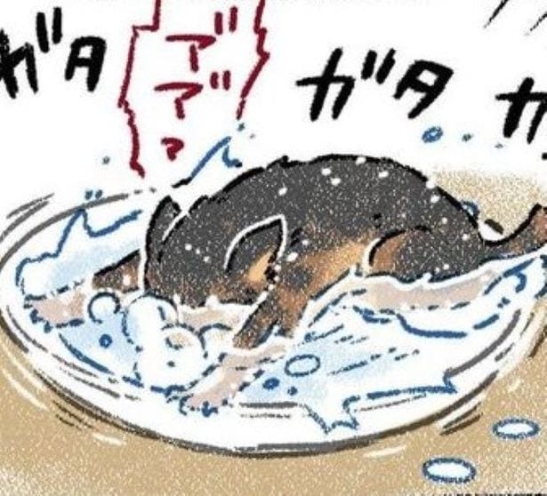 ミルクを見たらお皿にダイブ!?