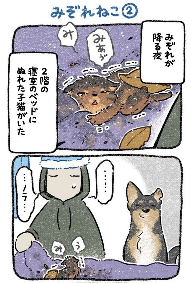 みぞれねこ②01