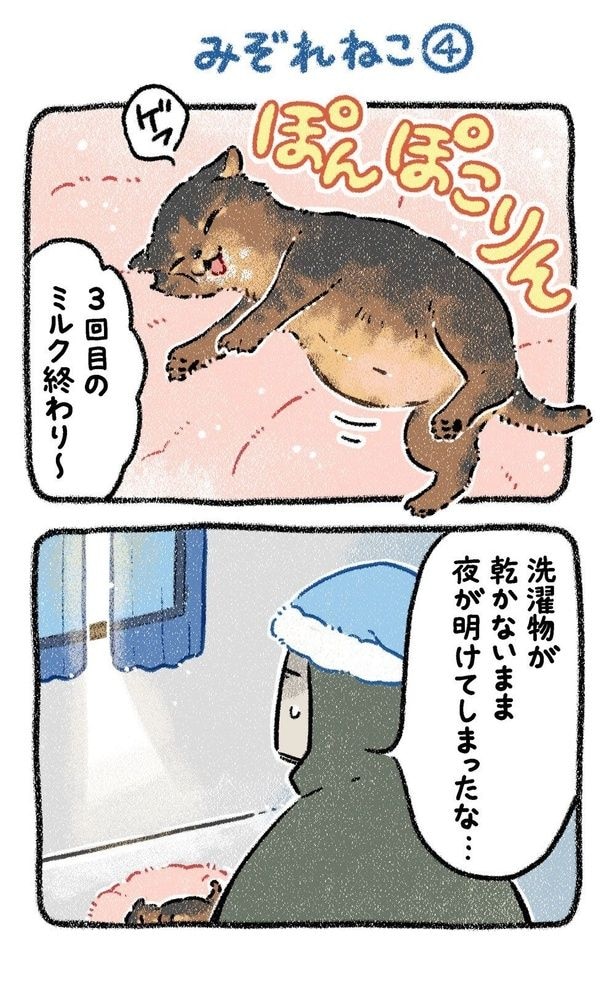 みぞれねこ④01