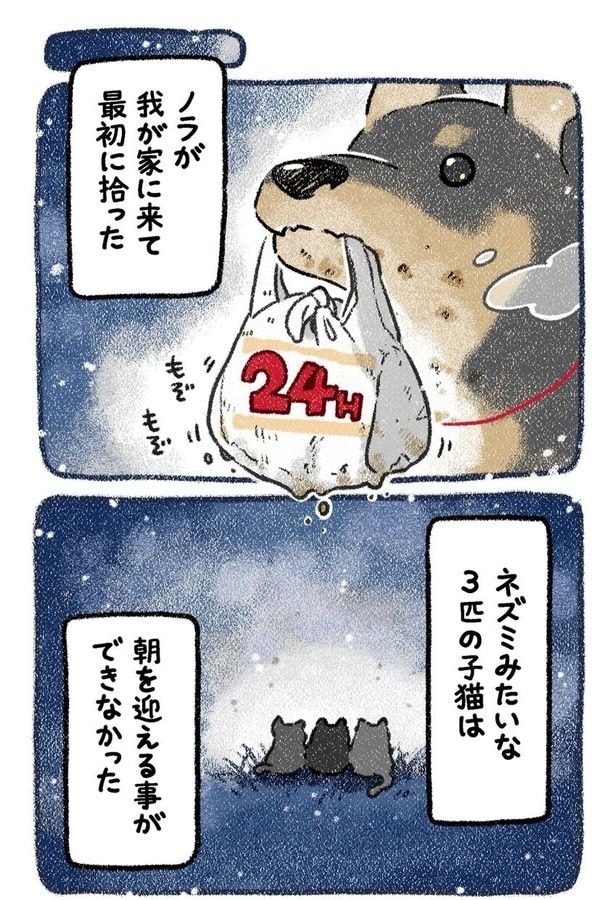 みぞれねこ④02
