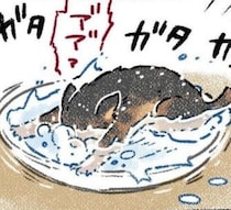 寒さに震える子猫にミルクをあげたら、お皿にダイブ!?お腹を空かせていた子猫が無事に生き抜き、里親を見つけるまでの話【著者に聞く】