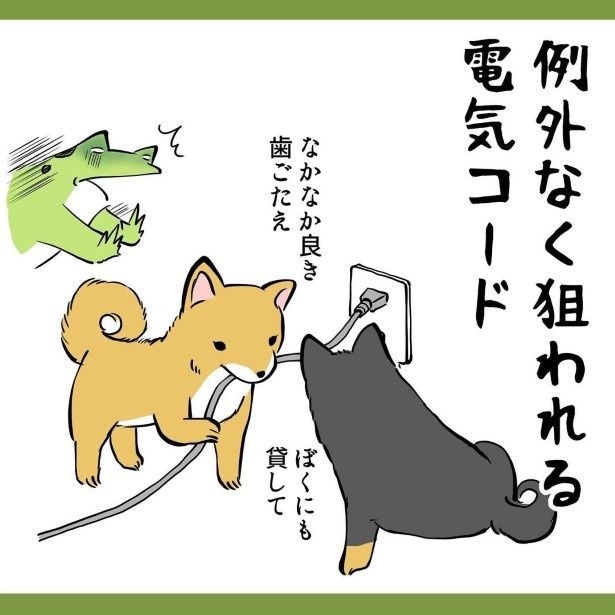 紐状のものが大好きなのも似ている！