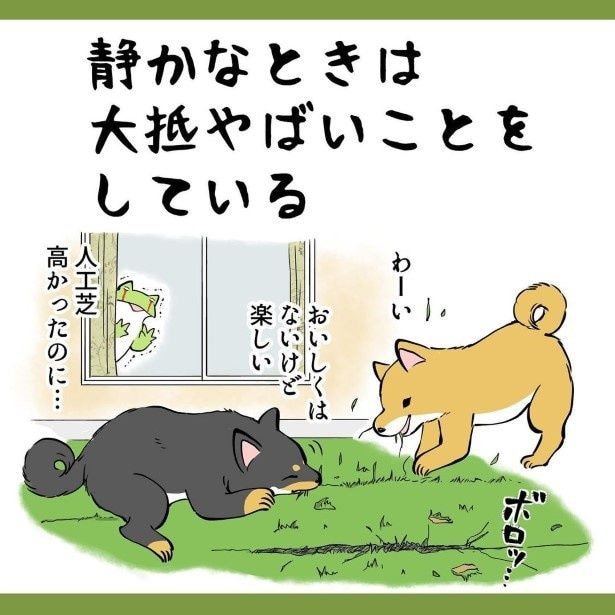 やめてー！高かったのに…!!