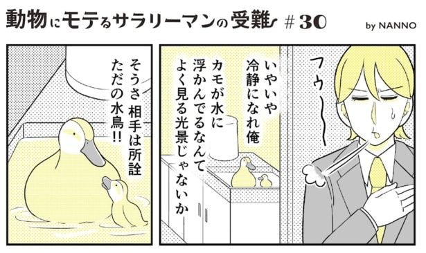  動物にモテるサラリーマンの受難(74)
