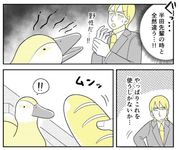 動物にモテるサラリーマンの受難(76)