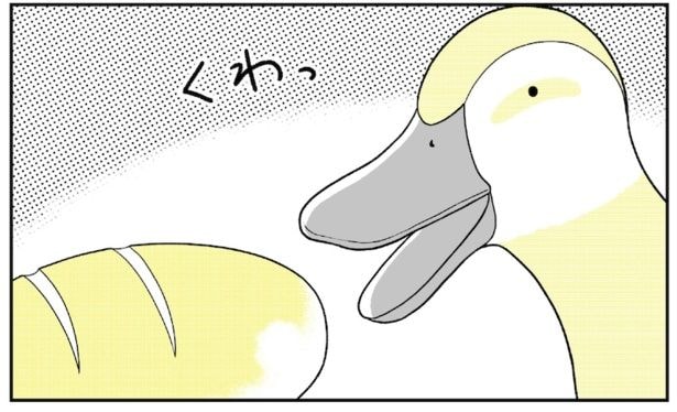 動物にモテるサラリーマンの受難(80)